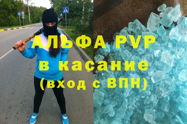 спиды Бердск