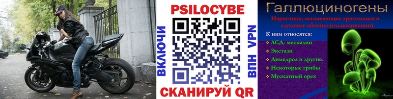 гидра онион Устюжна Галлюциногенные грибы Cubensis